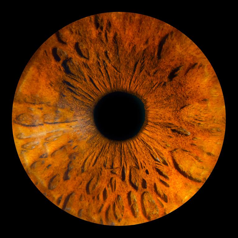 Iris fineart à Saint-Malo