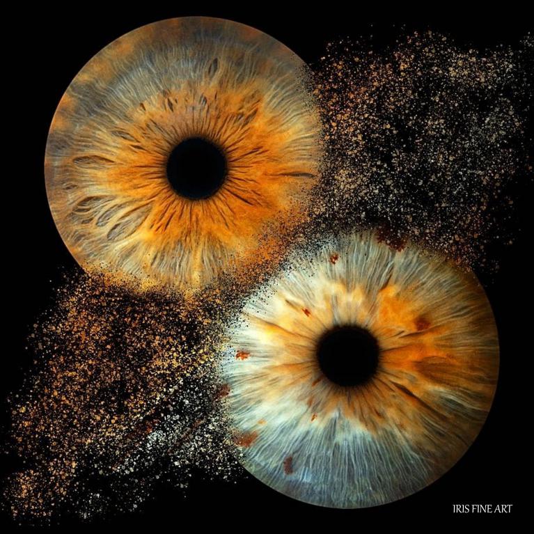 Iris fineart à Saint-Malo